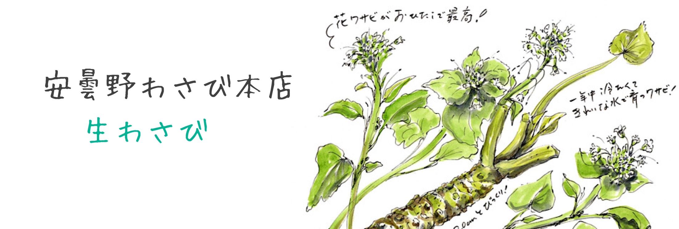 安曇野わさび本舗の取り扱い通販商品一覧 ツクツク 通販 モバイル 最もお得な高ポイント還元通販サイト